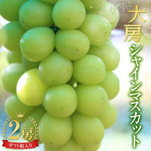 yӂ邳Ɣ[Łzystiߘa7Nxjz[ăVC}XJbg 2[ 1.5kg Mtg }XJbg Ԃǂ uhE  fU[g t[c ʕ  ʎ Hi R`