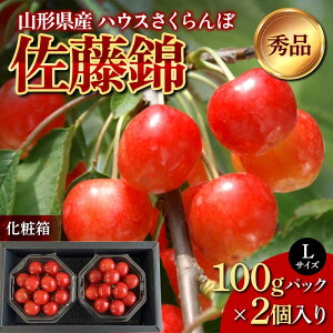 yӂ邳Ɣ[Łz R`Y nEX  Gi LTCY 100gpbN×2 ϔ sst2026Nx4{甭Jnt FSY-1211
