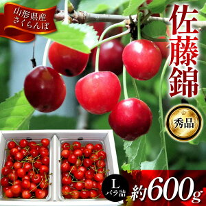 yӂ邳Ɣ[Łz sst2026Nx6t R`Y   Gi LTCY 600gol FSY-1214