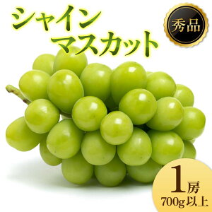 yӂ邳Ɣ[Łz s2025NsttԂǂuVC}XJbgv Gi 1[(700gȏ) }XJbg Ԃǂ uhE  fU[g t[c ʕ  ʎ Hi R` FSY-2196