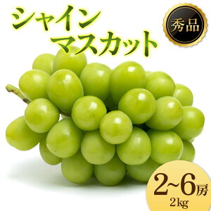 yӂ邳Ɣ[Łz s2025NsttԂǂuVC}XJbgv Gi 2`6[(2kg) }XJbg Ԃǂ uhE  fU[g t[c ʕ  ʎ Hi R` FSY-2197