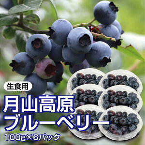 yӂ邳Ɣ[Łz ys\ 2026NxzR`RY V_̃u[x[ 100g×6pbN v600g Hp u₩ȊÎ_ς͂ł t[c ʕ  ʎ Hi R` FS