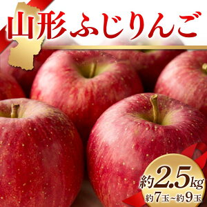 yӂ邳Ɣ[Łz s2025NxtR`ӂ 2.5kg 7ʁ`9  S ь fU[g t[c ʕ  ʎ Hi R` FSY-2409