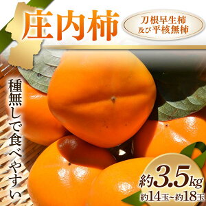 yӂ邳Ɣ[Łzss\ 2025Nxt` 햳ŐHׂ₷ `yѕj` 3.5kg 14`18 `  fU[g t[c ʕ  ʎ Hi R` FSY-1236