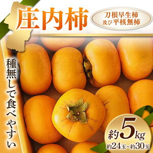 yӂ邳Ɣ[Łz s2025Nxt` 햳ŐHׂ₷ `yѕj` 5kg 24ʁ`30 `  fU[g t[c ʕ  ʎ Hi R` FSY-2417