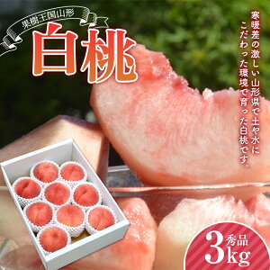 yӂ邳Ɣ[Łz ss\ 2026NxtR`Y  Gi 3kg    fU[g t[c ʕ  ʎ Hi R` FSY-2202