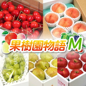 【ふるさと納税】《先行予約 2026年度発送》果樹園物語M ≪果物 5回定期便≫ FSY-2310