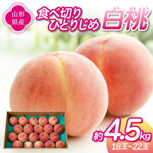 yӂ邳Ɣ[Łz ss\ 2026NxtHא؂ЂƂ肶  4.5kgi18`22ʁj    fU[g t[c ʕ  ʎ Hi R` FSY-2469