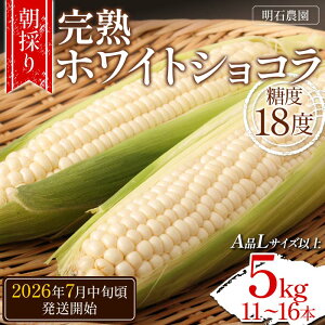 �y�ӂ邳�Ɣ[�Łz �����̂聄 ���n�z���C�g�V���R�� ���Δ_�� ���x18�x 5kg �Ƃ����낱�� �R�`���Y A�i L�T�C�Y�ȏ� �s��s�\��2026�N�x7�����{�������J�n�t �Ƃ����� �g�E�L�r �g�E�����R�V 