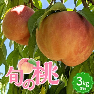 【ふるさと納税】 《先行予約 2026年発送》旬の桃 (白桃) 秀品 約3kg 8〜12玉 もも モモ 桃 デザート フルーツ 果物 くだもの 果実 食品 山形県 FSY-2527