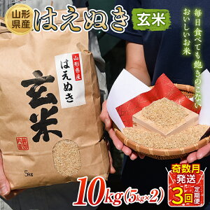 【ふるさと納税】 はえぬき 玄米 5kg×2 定期便3回(奇数月配送) 米 お米 コメ ごはん ご飯 食品 山形県 FSY-1311