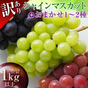 yӂ邳Ɣ[Łz ys\2025NxzR`Y 󂠂 Ԃǂii킨܂jv1kg }XJbg Ԃǂ uhE  fU[g t[c ʕ  ʎ Hi R` FSY-1327