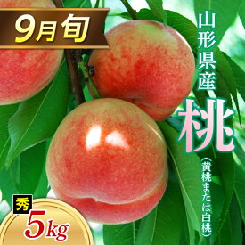 【ふるさと納税】 ≪2026年 先行予約≫ 9月旬の桃（白桃または黄桃）5kg 秀（小玉 20～22玉） もも モモ 桃 デザート フルーツ 果物 くだもの 果実 食品 山形県 FSY-1329