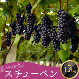 【ふるさと納税】 ≪先行予約2026年9月上旬頃～10月下旬頃発送≫山形県産スチューベン 1.8kg ぶどう ブドウ 葡萄 デザート フルーツ 果物 くだもの 果実 食品 山形県 FSY-1345