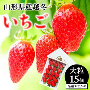 yӂ邳Ɣ[Łz yߘa7N12{JnzR`Y z~ 嗱15 i킨܂  C`S  fU[g t[c ʕ  ʎ Hi R` FSY-1360