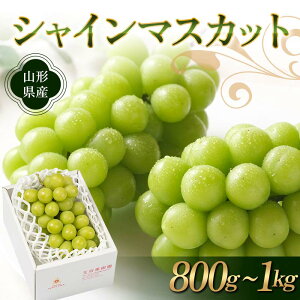 �y�ӂ邳�Ɣ[�Łz �s��s�\�� 2026�N�x�����t�V���C���}�X�J�b�g 800g�`1kg �}�X�J�b�g �Ԃǂ� �u�h�E ���� �f�U�[�g �t���[�c �ʕ� �������� �ʎ� �H�i �R�`�� FSY-1859