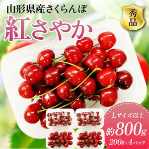 yӂ邳Ɣ[Łz s2026Ns\t R`Y  g₩ Gi 800gi200g×4pbNj LTCYȏ FSY-2010