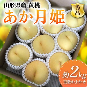 yӂ邳Ɣ[Łz s2026Ns\t R`Y  P Gi 2kg ʐ܂ FSY-2400