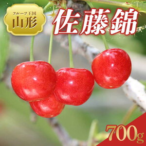 �y�ӂ邳�Ɣ[�Łz �y2026�N ��s�\��z��t���[�c�����R�`�� �������� ������ 700g FSY-2020