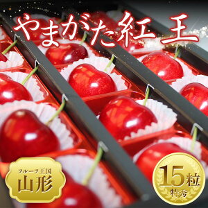 �y�ӂ邳�Ɣ[�Łz�y2026�N ��s�\��z��t���[�c�����R�`�� �������� ��܂����g�� 15�� FSY-2025