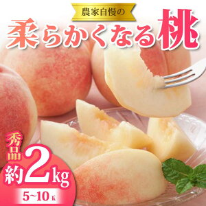 yӂ邳Ɣ[Łz s2026N s\t _Ǝ̏_炩Ȃ铍 2kg(5`10) ʕ t[c FSY-2052