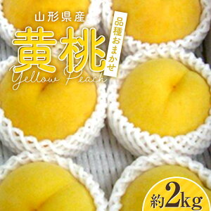 yӂ邳Ɣ[Łzy2025N s\zR`Y  2kg i킨܂ FSY-2055