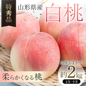yӂ邳Ɣ[Łz yߘa8NY stzR`Y  2kg i킨܂ Gi _炩Ȃ铍  ʕ t[c FSY-2464
