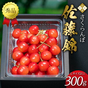 yӂ邳Ɣ[Łzystiߘa8Nxjz 2026NY ځuсv300g Gi LTCYȏ R`Y FSY-2084