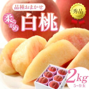 【ふるさと納税】 【先行予約(2026年8月下旬頃より順次発送)】柔らかめ白桃 約2kg(5玉〜9玉)秀品 FSY-2533