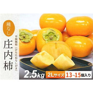 yӂ邳Ɣ[Łzyߘa7Nstz` lYq 2LTCY 2.5kg(13`15) ʕ t[c FSY-2102