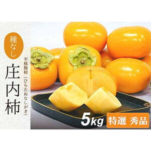yӂ邳Ɣ[Łzyߘa7Nstz` lYq I Gi 5kg(22`24) 2LTCY ʕ t[c FSY-2104