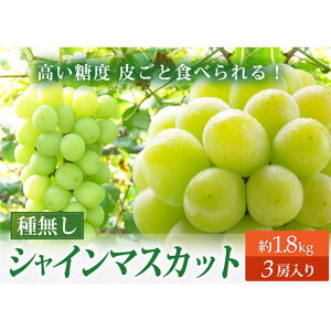 yӂ邳Ɣ[Łzyߘa7NstzVC}XJbg 1.8kgi3[j Ԃǂ ʕ t[c FSY-2107