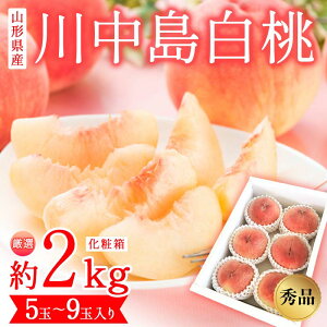 yӂ邳Ɣ[Łz R`Y I 쒆 Gi 2kg ϔ (5ʁ`9ʓ) ss\ 2026Nx8Jnt FSY-2493
