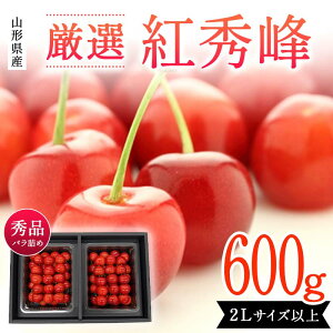 yӂ邳Ɣ[Łz R`Y I gG 600g ol Gi2LTCYȏ   ss\ 2026Nx6t FSY-2109