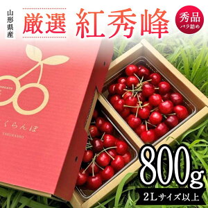 yӂ邳Ɣ[Łz R`Y I gG 800g ol Gi2LTCYȏ   ss\ 2026Nx6t FSY-2110