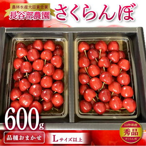 yӂ邳Ɣ[Łz ss\ 2026Nty ʌz_ѐYb܎ J_  600g ol i킨܂ Gi LTCYȏ   ʕ t[c R`