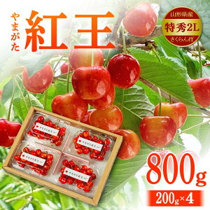 yӂ邳Ɣ[Łz yߘa8Ns\zR`Y  ܂g G 2L 800gi200g×4j FSY-2147