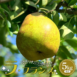 yӂ邳Ɣ[Łz ys\i2025NxjzR`Y EtX 5kg(12`20) Gi  m ʕ t[c FSY-2167