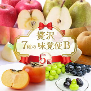 �y�ӂ邳�Ɣ[�Łz �y2026�N��s�\��z�ґ�7��̖��o��B�i5�����ցj�� ���� �V���C���}�X�J�b�g �Ԃǂ� ��� �` ���E�t�����X �� �ʕ� �t���[�c �R�`�� FSY-2637