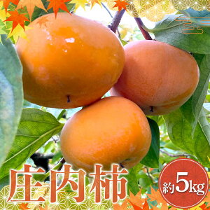 yӂ邳Ɣ[Łzss\ ߘa7NxYt I ` 5kg FSY-2177