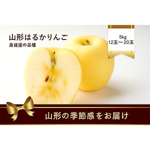 yӂ邳Ɣ[Łz R`Y ͂邩 5kg 12ʁ`20 x̂ FSY-2188