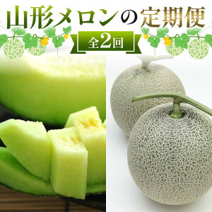 【ふるさと納税】 山形メロンの定期便 7月 緑肉メロン2玉 計2.5kg 8月 マスクメロン 2玉 計2.5kg 【令和8年発送】 FSY-2370