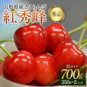 yӂ邳Ɣ[Łz ss\ 2026N6{t R`Y  gG Gi 2L 700gpbN ϔ FSY-2200