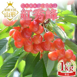 yӂ邳Ɣ[Łz y2026NY s\zR`Y gG Gi L 1kg ol ϔ FSY-2201