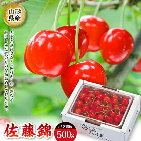 【ふるさと納税】 《2026年度発送》佐藤錦 バラ詰め【500g】 FSY-2205
