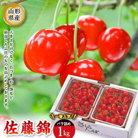 【ふるさと納税】 《2026年度発送》佐藤錦 バラ詰め【1kg】 FSY-2206