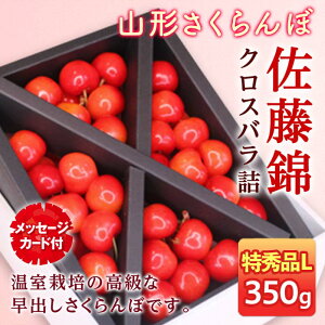 �y�ӂ邳�Ɣ[�Łz �s��s�\�� 2026�N�x�����t����̓����R�`�������� ������ ���G�i L�T�C�Y350g �N���X�o���l ���b�Z�[�W�J�[�h�t FSY-2212