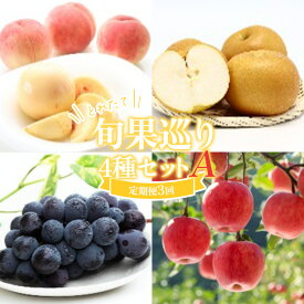 【ふるさと納税】 ≪数量限定 期間限定≫ 《先行予約 2026年度発送》 とれたて旬果巡り4種セットA 白桃と和梨 ピオーネ サンふじりんご 定期便【全3回】 FSY-2541