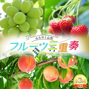 yӂ邳Ɣ[Łz s2026Nxs\t݂̂R` t[cOdt `EVC}XJbgE` S3 FSY-2511