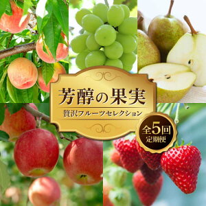 yӂ邳Ɣ[Łz s2026Ns\tF̉ʎ `ґt[cZNV` S5 FSY-2512